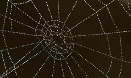 计量经济究竟是什么有何应用价值？