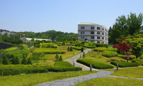 韩国西江大学怎么样？