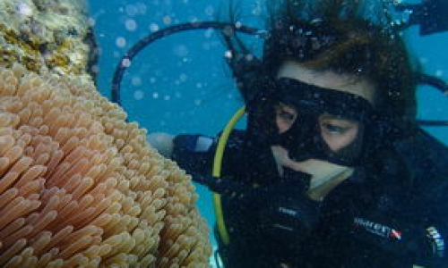 海洋生物学究竟是什么有何重要意义？