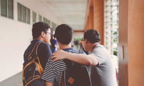 国际学校有哪些？一文带你了解！