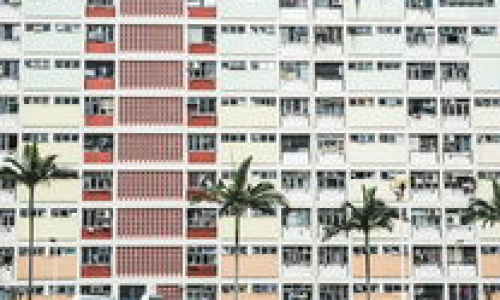 中加学校究竟有着怎样的魅力与挑战？
