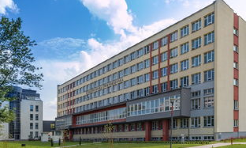 早稻田大学官网能为你提供哪些重要信息？