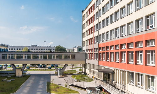 香港大学生在多元环境下如何实现自我成长？