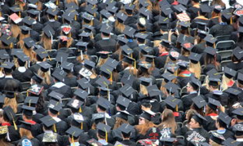 西北大学就业网能为毕业生带来哪些就业助力？