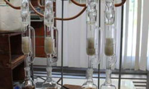 生物医学前景如何？有哪些热门研究领域？