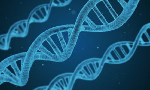 生物工程专业大学排名背后有哪些门道？