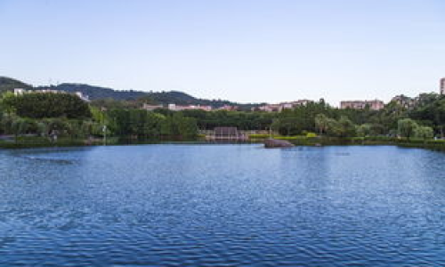 厦门大学国际学院有哪些特色和优势？
