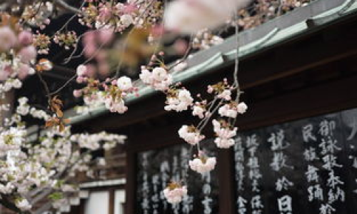 日本留学政策有哪些要点和变化？